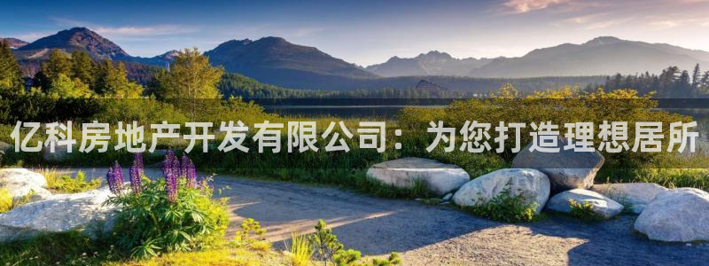 永利钻石会员