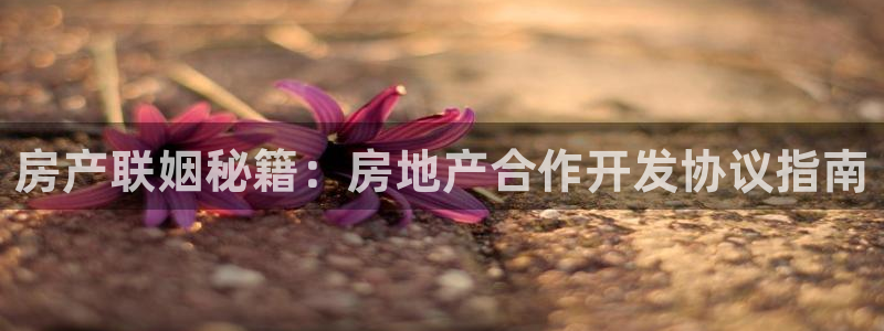 永利服装有限公司
