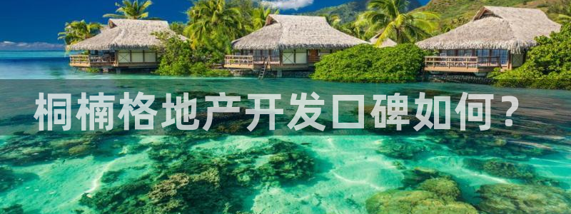 苏州金沙永利怎么样
