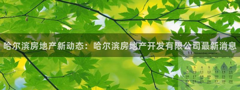 滨州永利顺运输有限公司