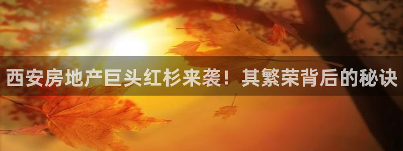 永利网是不是真的