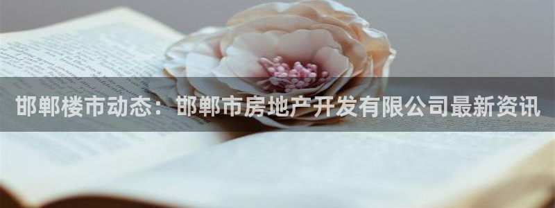 永利酒店有几家