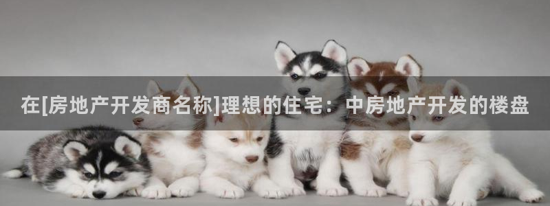 永利皮带官网旗舰店地址