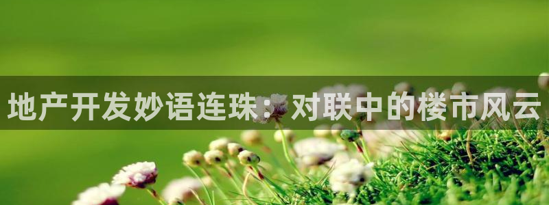 永利正版
