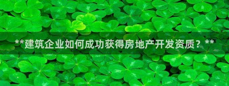 永利皮带官网价格查询