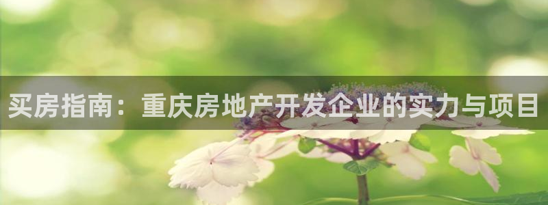 永利信誉网址