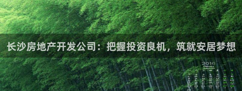 永利皮带型号说明书图片