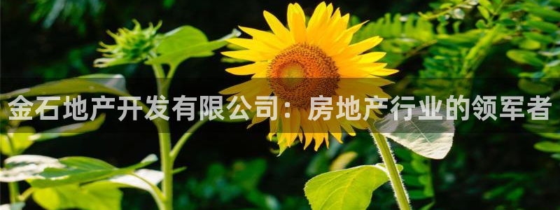 永利带业集团2020年的业绩状况