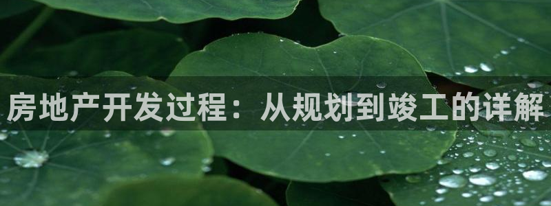 永利 澳门