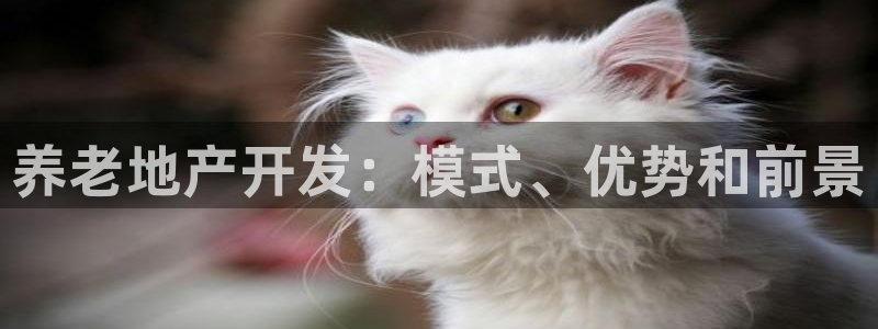 永利官网误乐域一个币多少钱