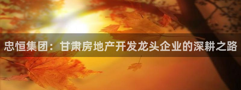 永利公司是做什么的