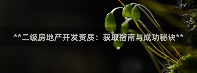 永利股份吧