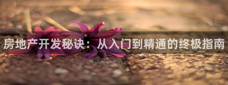 滨州永利篮球俱乐部老板
