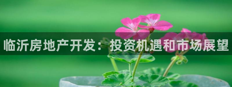 9900777z永利网