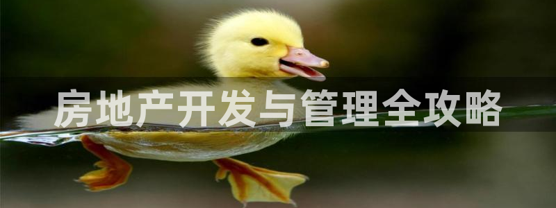 永利皮带官网价格查询表