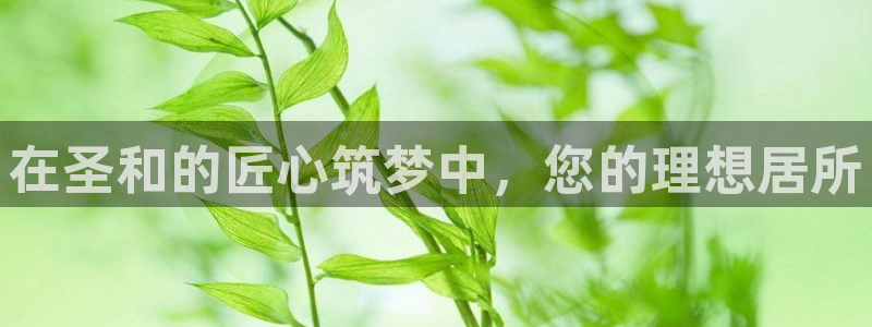 永利总裁