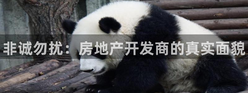 永利皮带型号说明图
