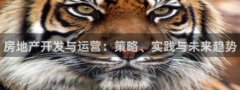 永利集团304am官方入口版