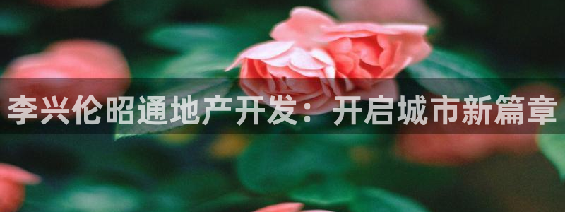 永利集团董事长