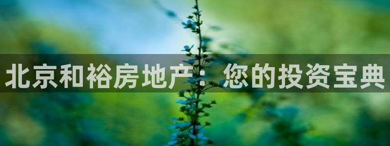 永利制带