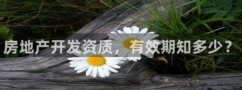 永利提现什么时候到账