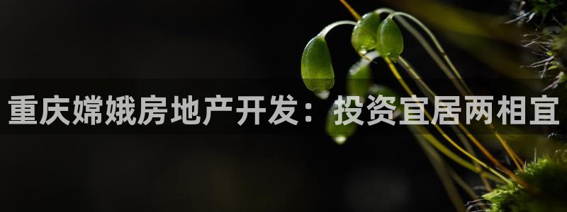 永利会员卡级别及福利