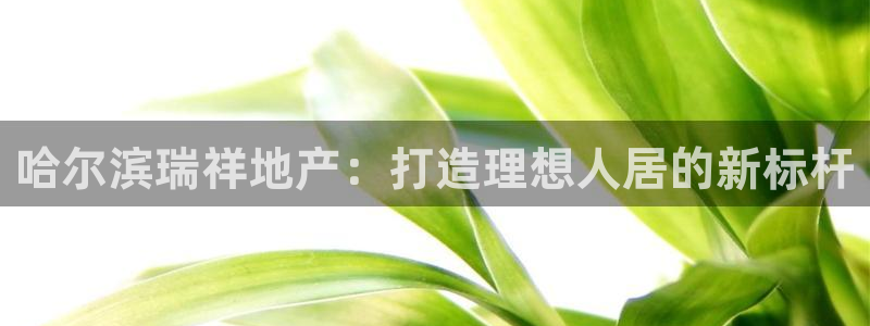 永利来织带