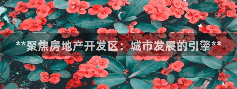 永利精工董事长