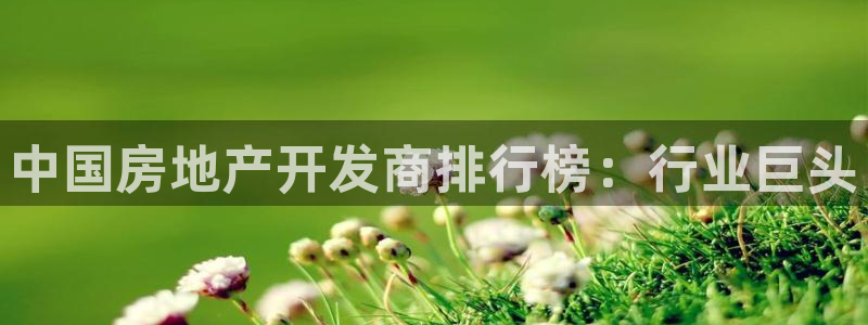 绍兴永利集团董事长
