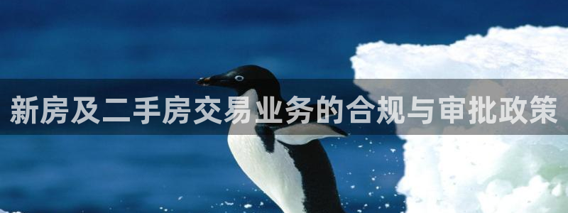 滨州永利篮球俱乐部老板