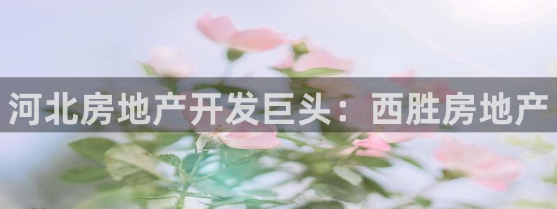 永利地产