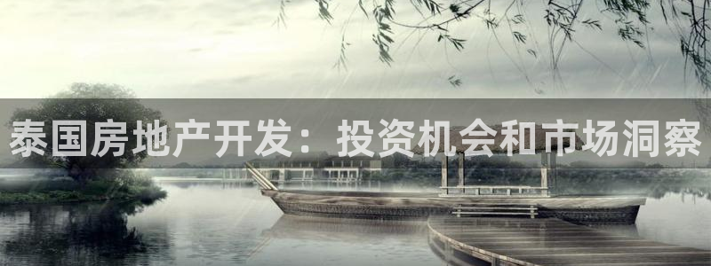 永利公司是做什么的