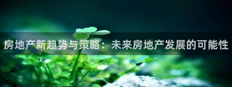 永利批发市场在哪里