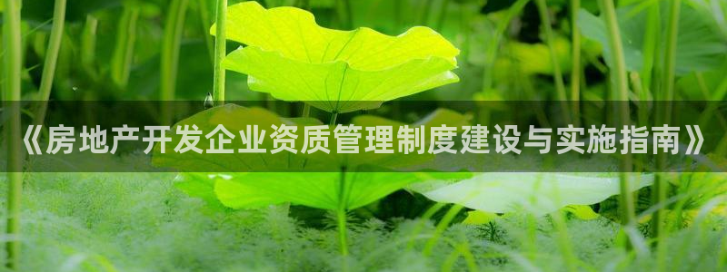 永利皮带型号说明