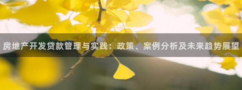 永利精工董事长