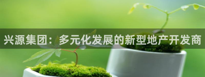 永利网怎么了打不开