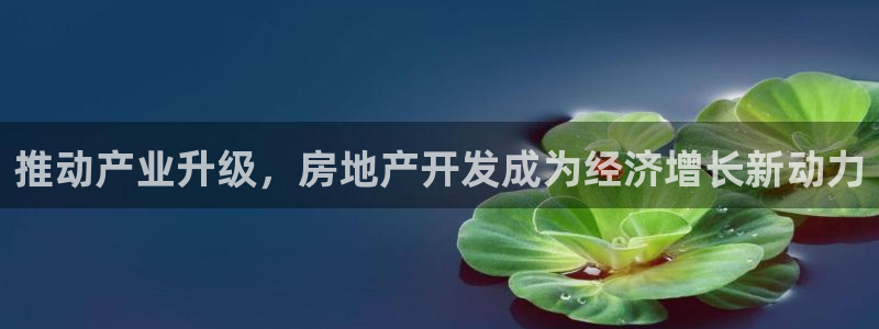 永利中国总裁