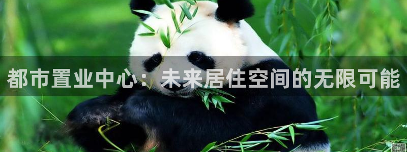 永利房地产有限公司