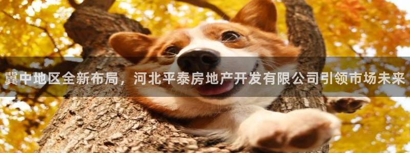 永利积分卡怎么算的