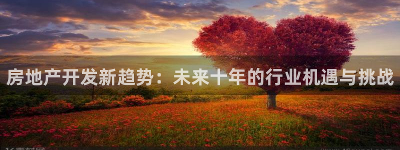 永利股份做什么