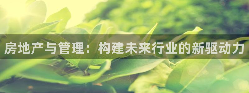 永利网是干什么的,能挣到钱吗知乎